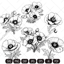 Poppy Flowers Clipart, Poppies SVG, Red Poppies PNG, California Poppy SVG. Poppy Clipart, Red Poppies Clipart, Poppies,