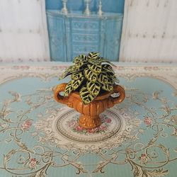 Flower in a pot. Dollhouse miniature.1:12 scale.