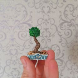 Bonsai. Plant for puppet miniature.Dollhouse miniature.1:12 scale.