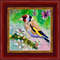 goldfinch-original-art-bird-oil-on-canvas