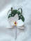 White-Orchid-boutonniere-3.jpg