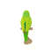 Parrotlet зеленый1.jpg