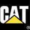 CAT B.jpg
