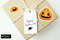 pumpkin Stickers--.jpg