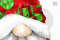 Santa Claus gnome_02.jpg