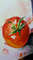 Tomato painting.jpg