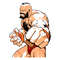 Street Fighter SVG3.jpg