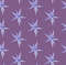1-Plants-seamless-pattern-leaves-digital-paper-surfaces-design-lilac-background-stars-winter.jpg