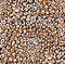1-Animal-seamless-pattern-leopard.jpg