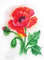 Red Poppy 1.jpg