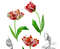 Poster with tulips2-03 A4 size_3.jpg