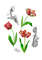 Poster with tulips2-01 A4 size_1.jpg