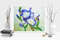 White Blue Iris_29x24_1 3.jpg