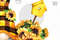 Sunflower gnome_03.jpg