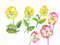Pansies Yellow and Pink 1.jpg
