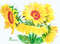 Yellow Sunflowers 3.jpg
