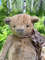 stuffed-animal-teddy-bear-plush.jpg