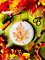 Variegated Small Maple Leaf photo 2.jpg