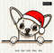 Christmas-Chihuahua-Dog-face-with-Santa-hat.jpg