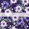 Anemones flowers pattern clipart_3.jpg