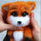 Cute fox.jpg