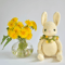 Amigurumi bunny crochet pattern