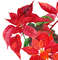 Etsy Christmas  Poinsettia cover_3.jpg