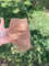 mesh-sheer-women-socks-pink-retro-long-dots-hight.jpg