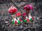 Mushroom- textile- art -toadstool1.jpg