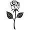 black roses4.jpg