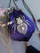 purple spider mini bag.jpg