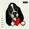 Basset-hound-with-Valentine-heart.jpg