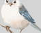 White bird illustration 00 B (3).jpg