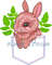 Rabbit 3 1.jpg