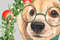 Christmas Dogs 1 B05.jpg