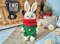 Bunny in costume crochet pattern.jpg