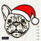 Christmas French bulldog with Santa hat.jpg