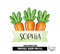 Green Name Plate Carrots Sublimation PNG Design.jpg