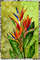 tropical flower 8.jpg