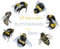 watercolor bumblebee.jpg