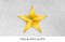 GoldStar014-Mockup1.jpg