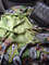 paisley scarf green (10).jpg