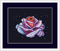 Galaxy Rose framed 2.png