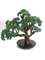 realistic-artificial-bonsai-tree-dark-green-2.jpeg