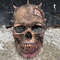 demon skeleton skull mask  halloween cosplay.jpg