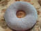 pillow donut_pillow bagel_bed for a cat_3.jpg