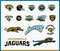 Jacksonville-Jaguars-logo-svg.jpg