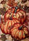 Pumpkin photo stitch kitchen.jpg