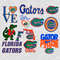 Florida Gators.jpg
