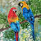Parrot-painting-in-style-impasto-wall-decoration.jpg
